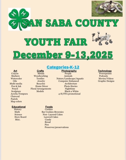 San Saba County Youth Fair Flyer with categories list for for K-12
