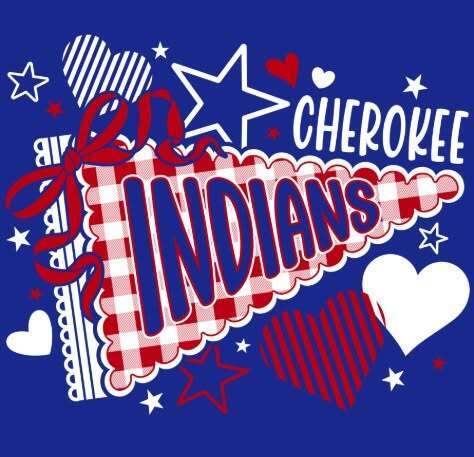 mini cheer shirt