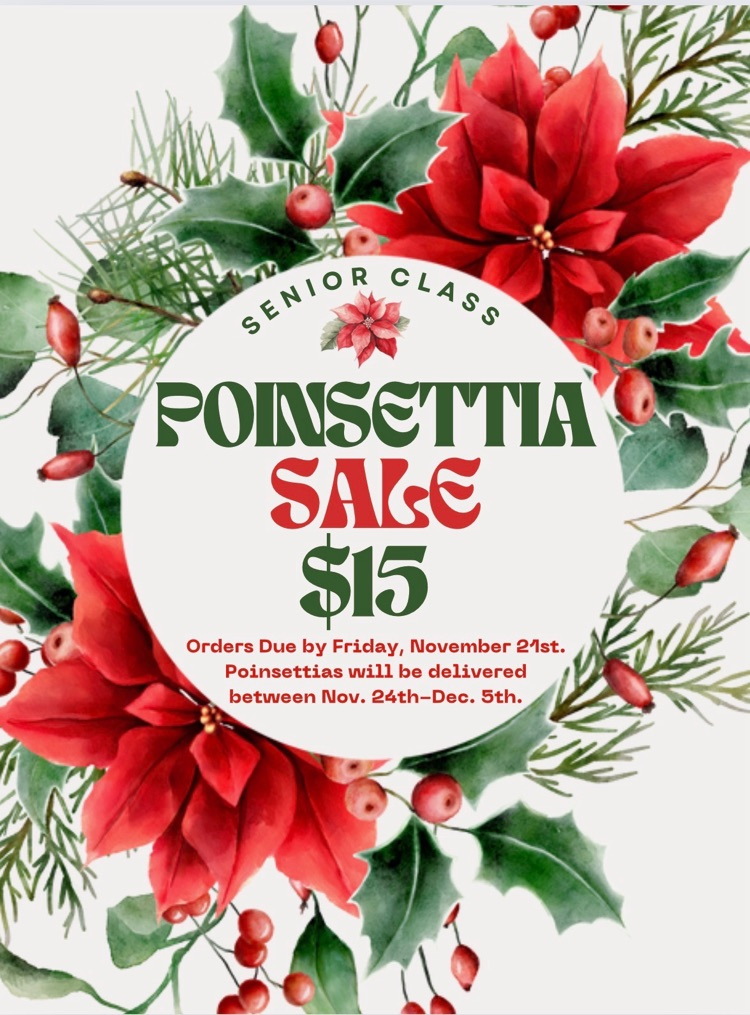 Poinsettia fundraiser flyer contact a senior at Cherokee high school to order