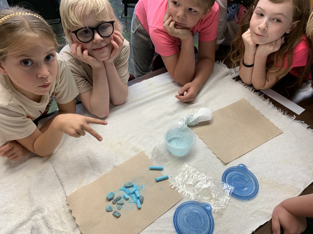 Students in 1st grade completing a science experiment. 