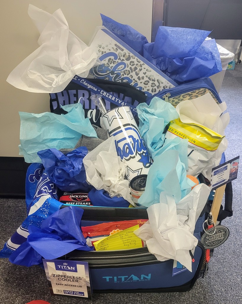 Charger Fan Basket