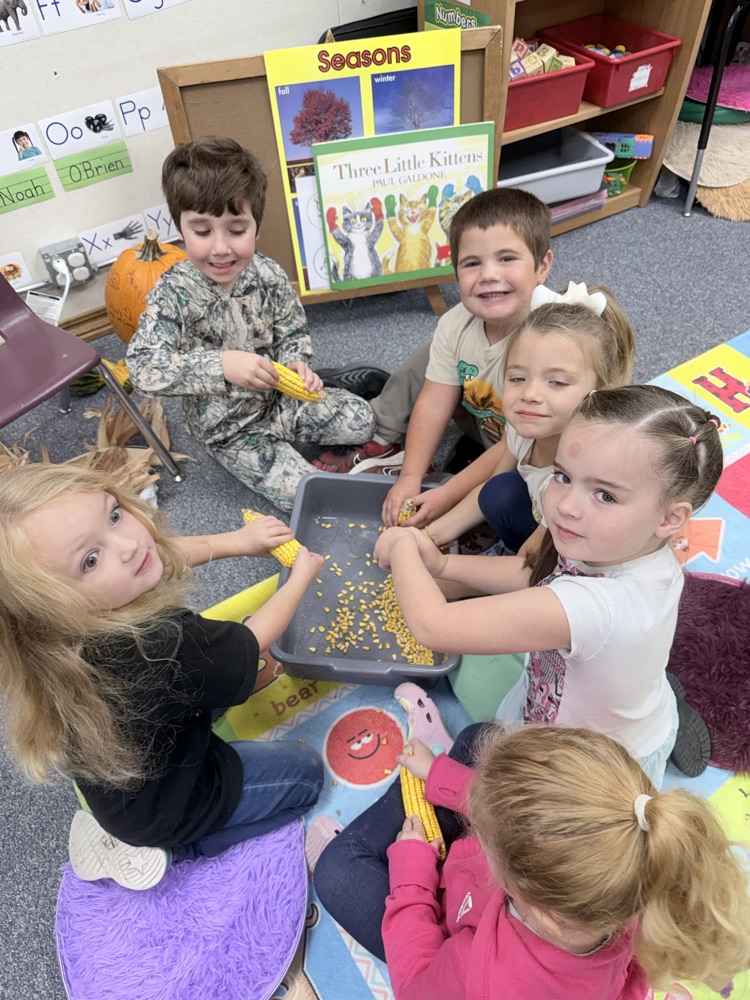 look at that field corn