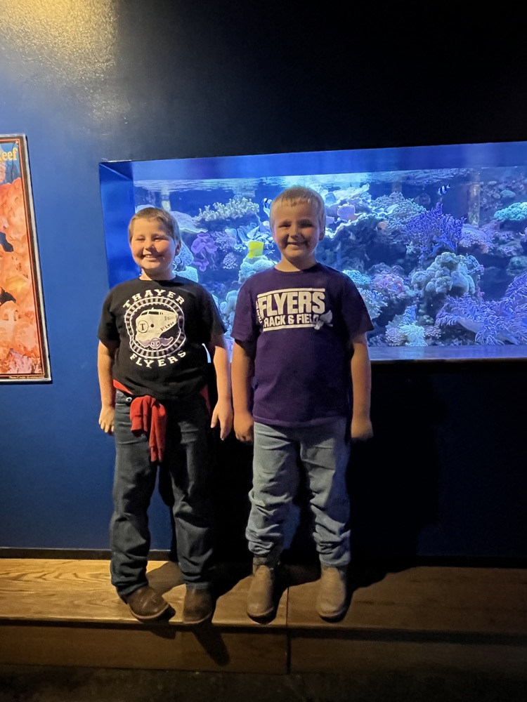 aquarium