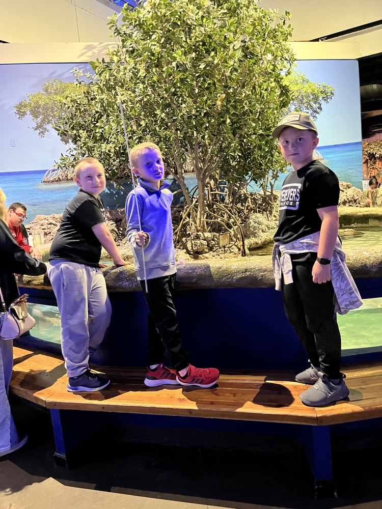 aquarium