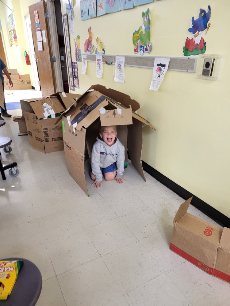 cardboard city