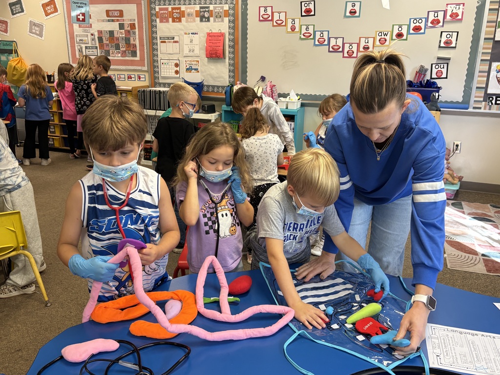 body system puzzles