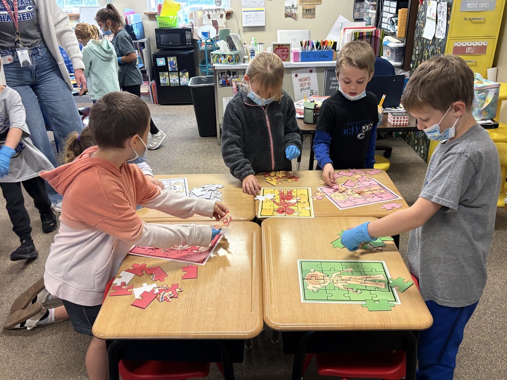 body system puzzle