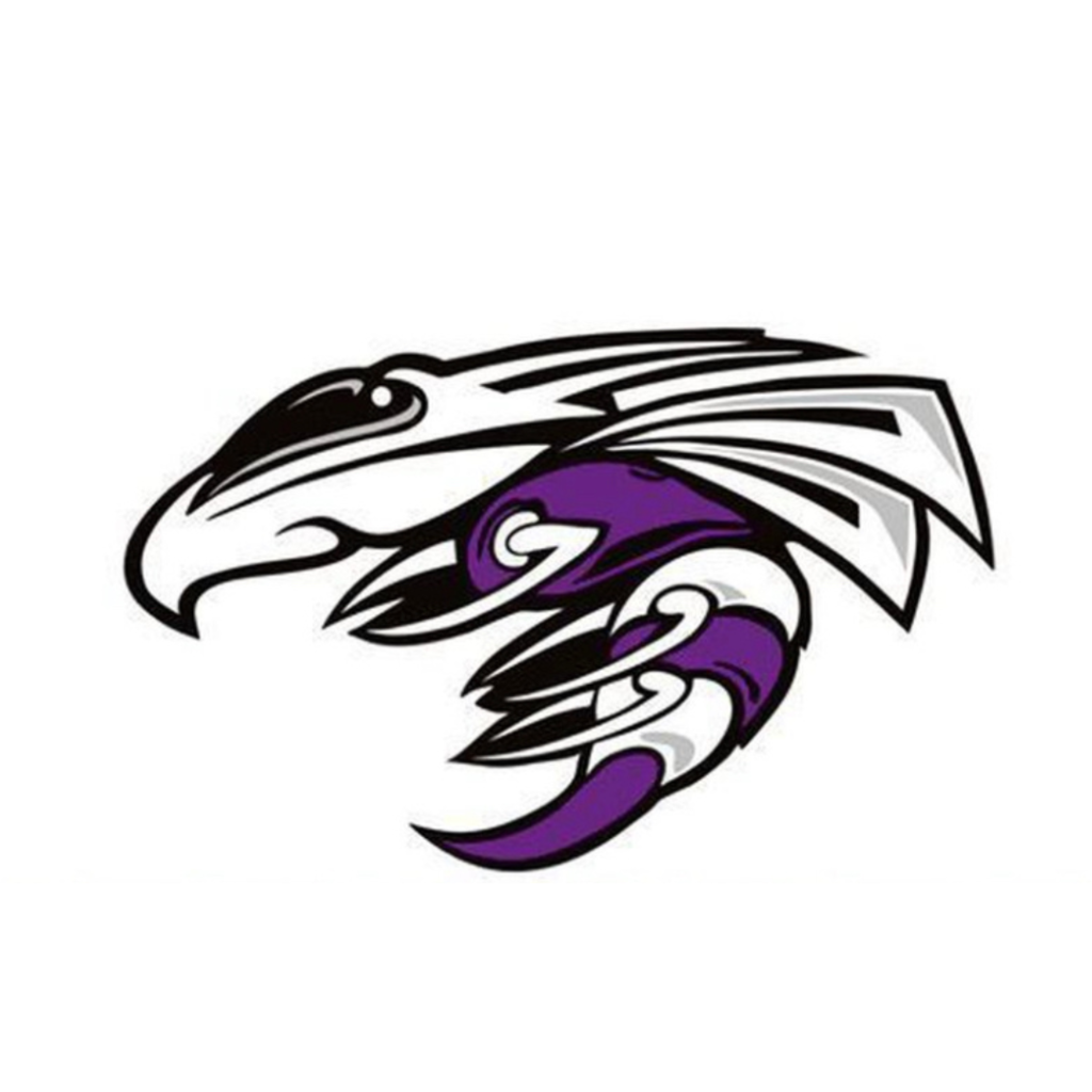 DCH Baseball Logo