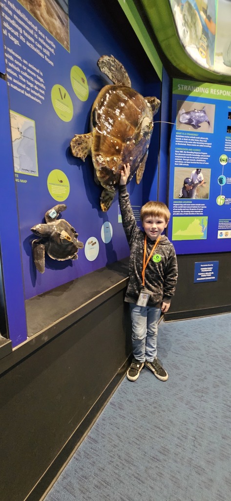 Students at the aquarium