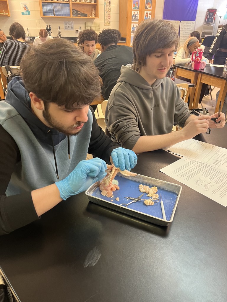 Science Pic