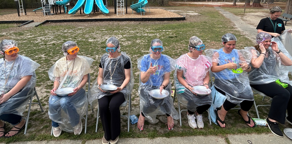Pie in the Face