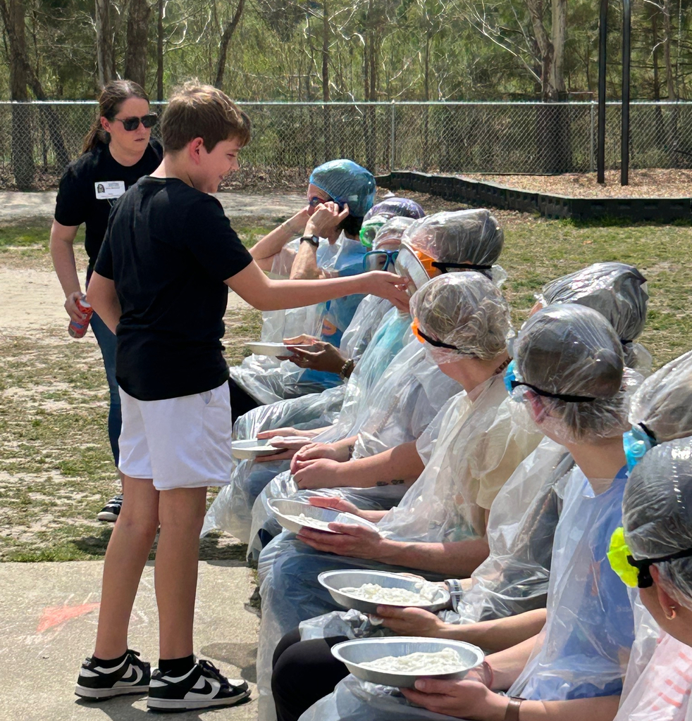 Pie in the Face