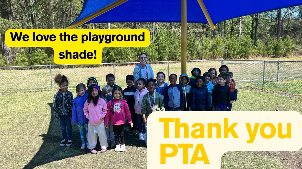 Thank you PTA for our shade