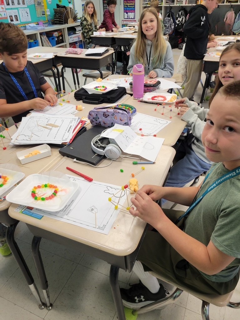 STEM activity