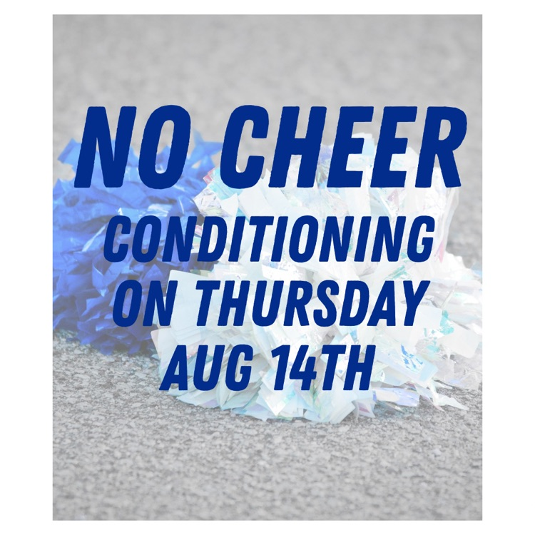 Cheer Update