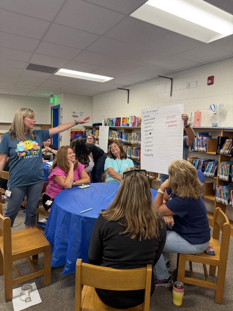 Teachers working on professional development