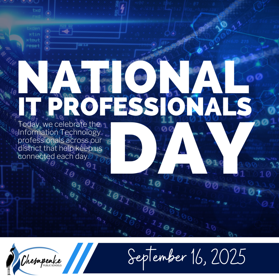 National IT professionals day blue graphic