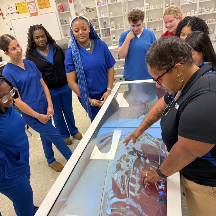 pharmacy students using the Anatomage Table
