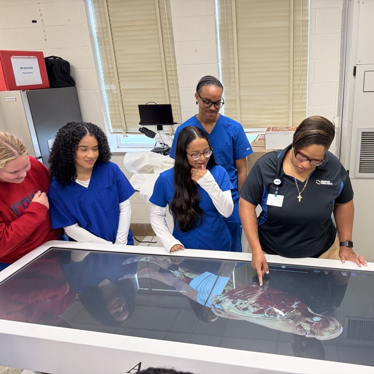 pharmacy students using the Anatomage Table