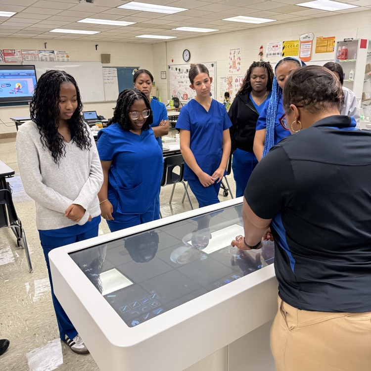 pharmacy students using the Anatomage Table
