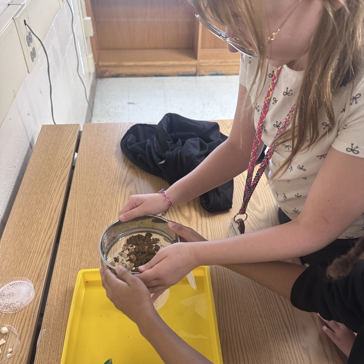 students working to separate mixtures 