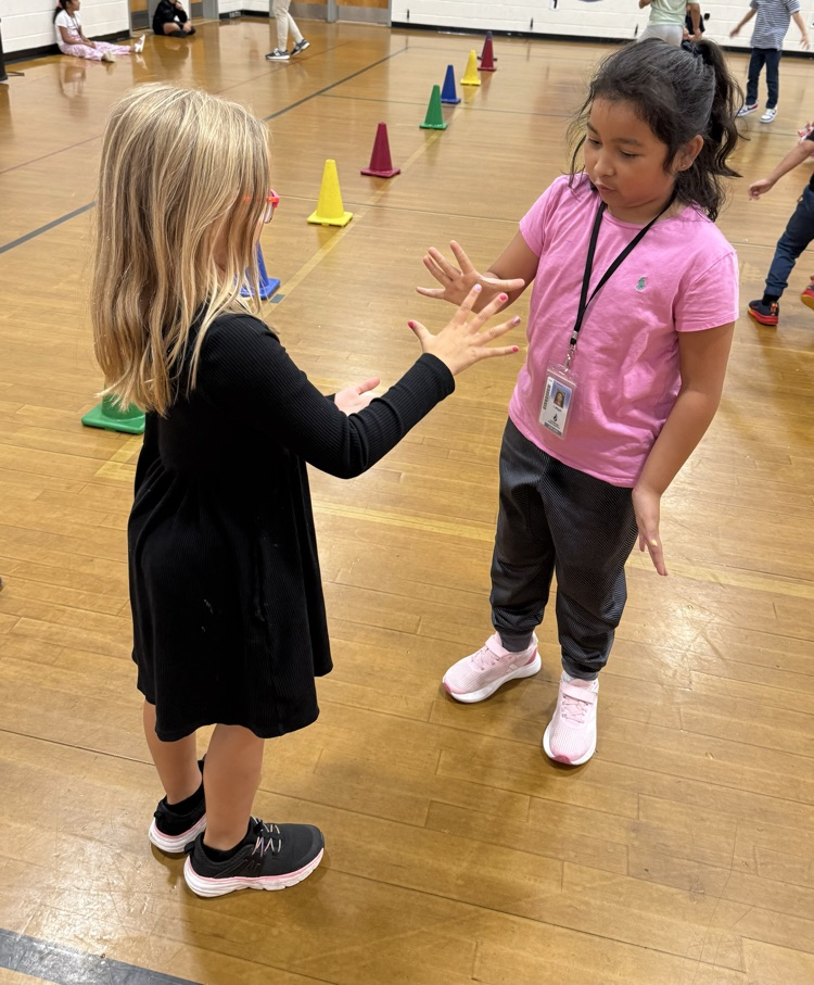 rock paper scissors 