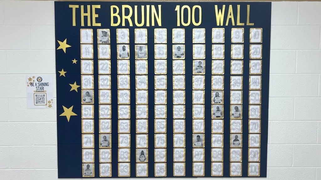 Bruin 100 Wall