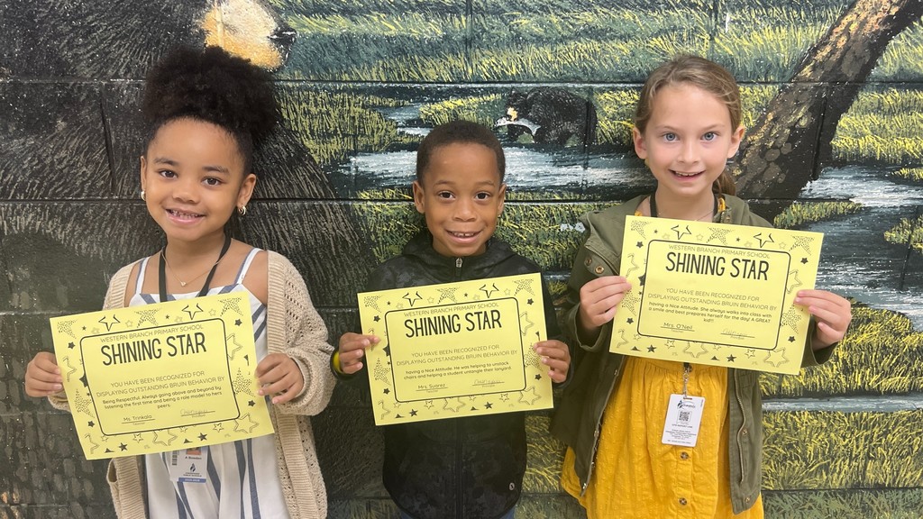 Shining Star Bruins