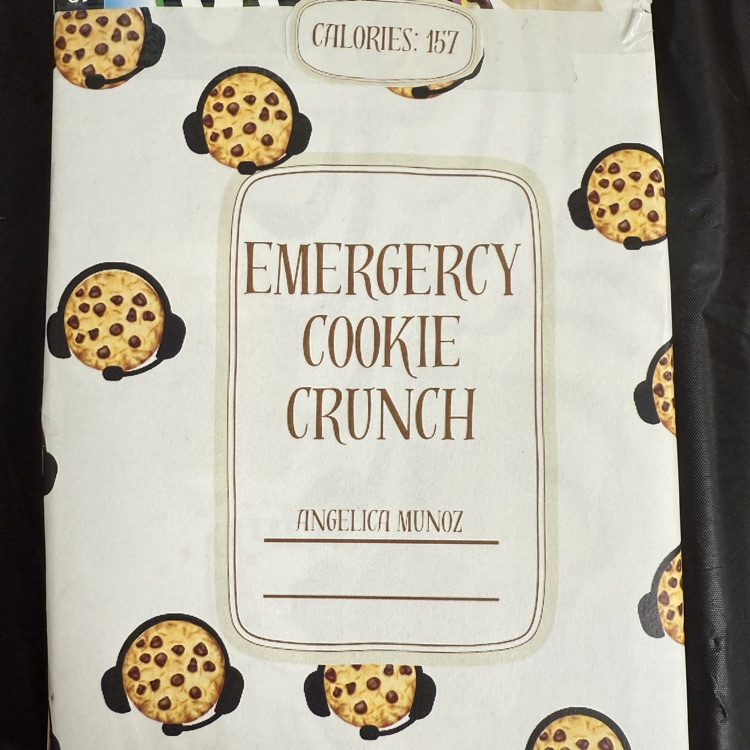 cereal box project