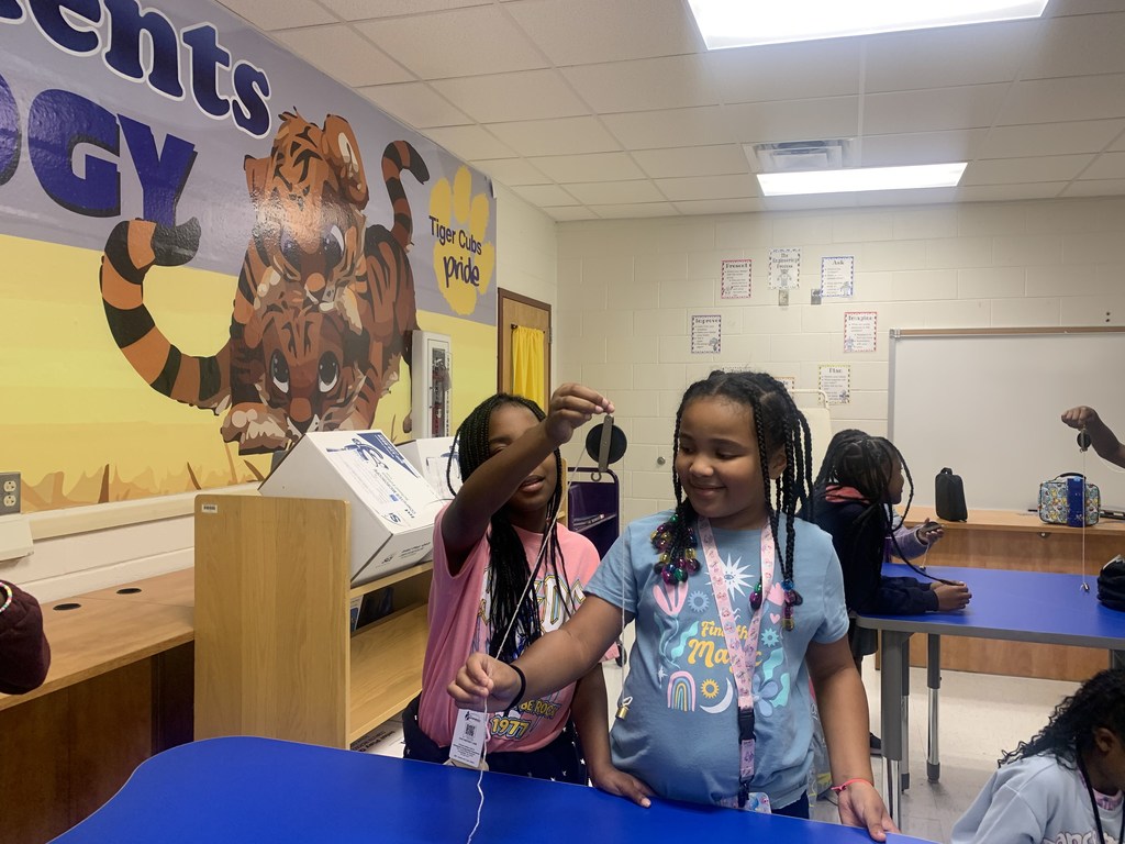 Mrs. WIlliams 3rd Grade Simple Machines
