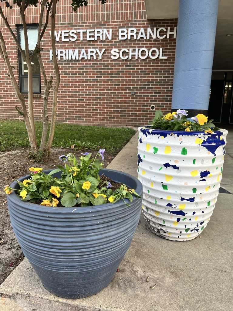 Pansies near entrance