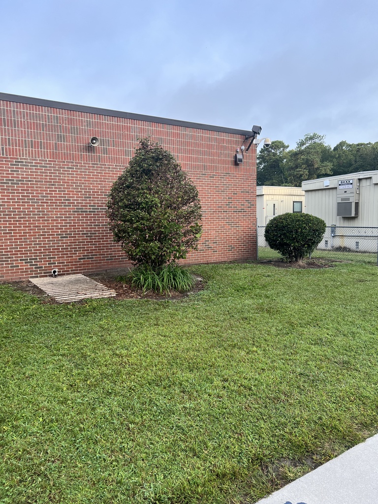 Bus ramp shrubs