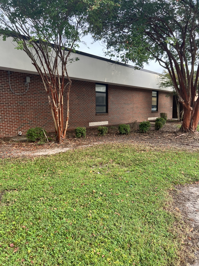 Trimmed bushes near bus ramp
