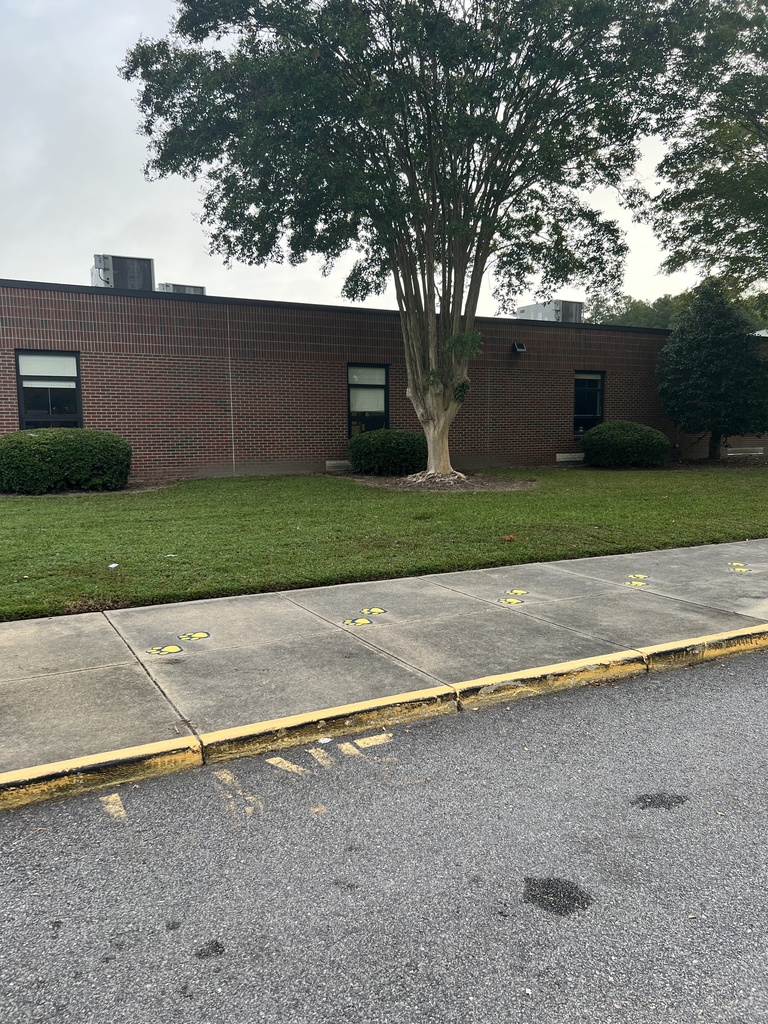 Front of building shrubs
