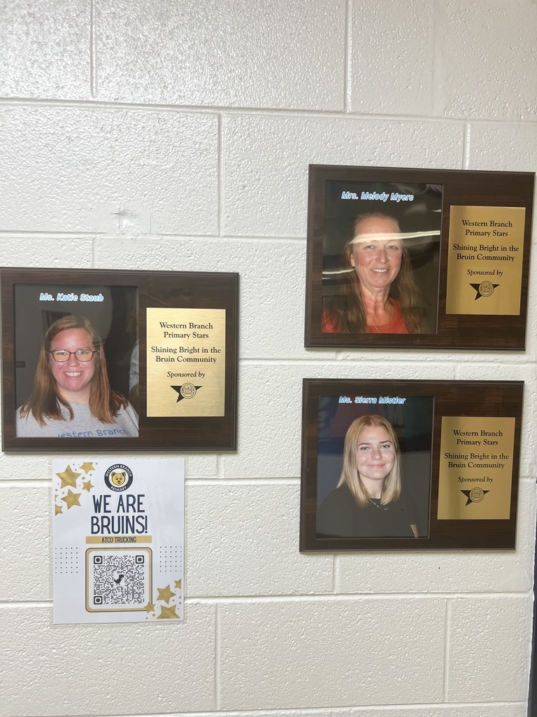 Shining Star Staff Wall