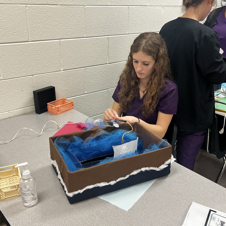 dental students working on a project
