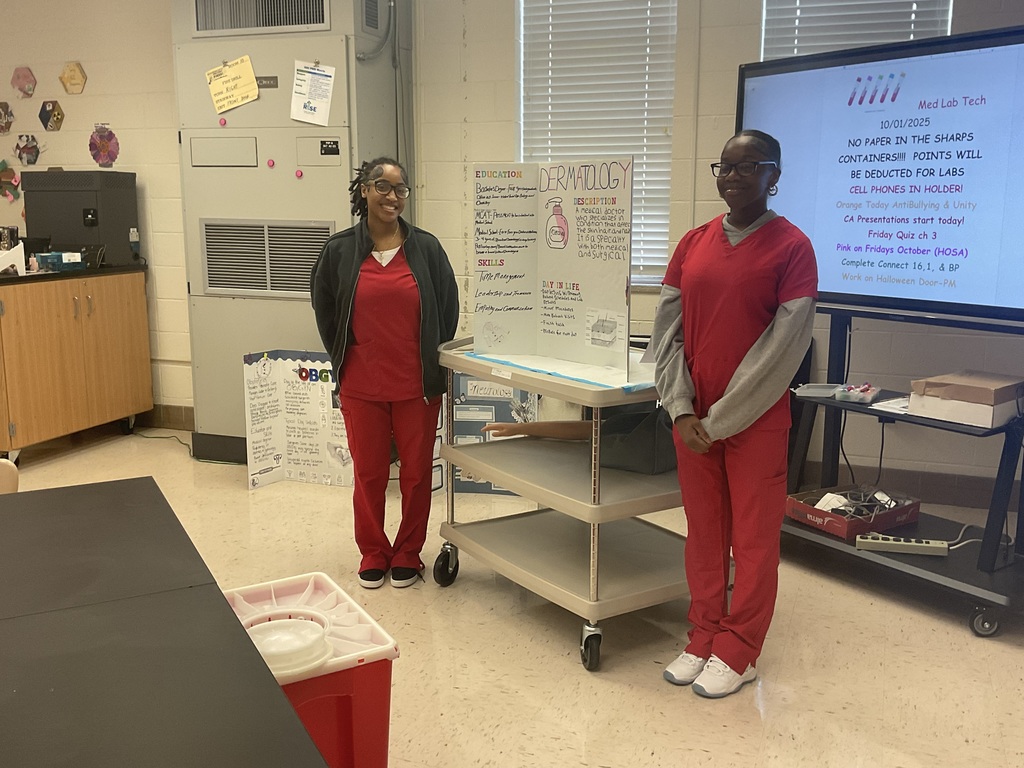 Students presenting their projects