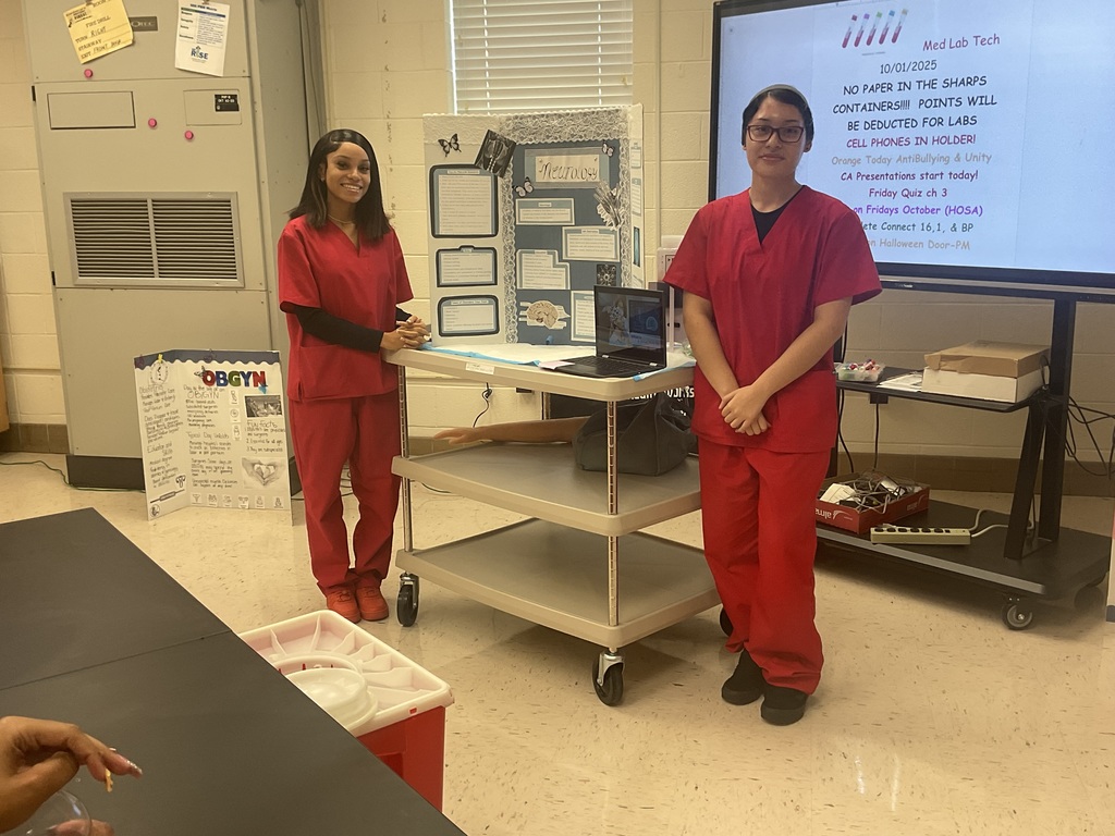 Students presenting their projects