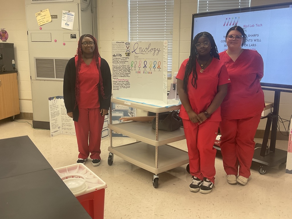 Students presenting their projects