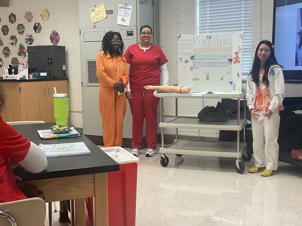 Students presenting their projects