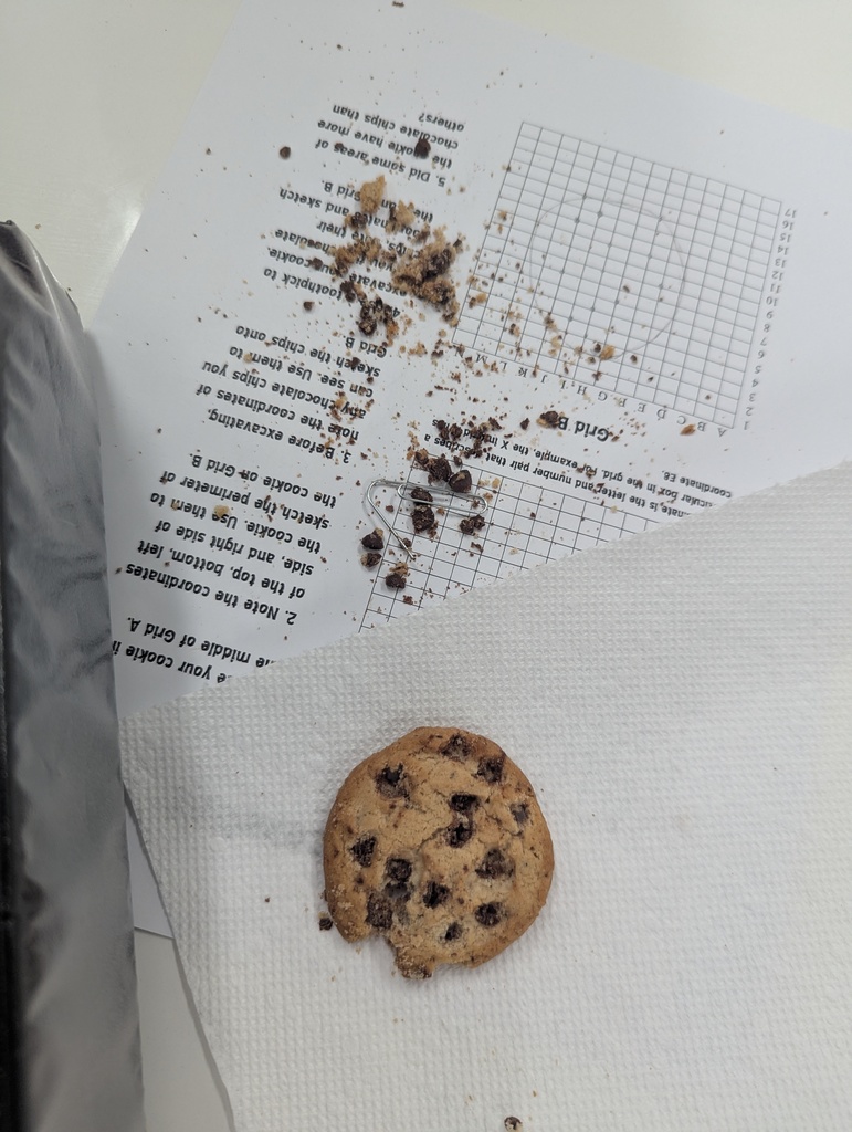 Cookie Excavation in Mrs. Young's 7th Grade History Class