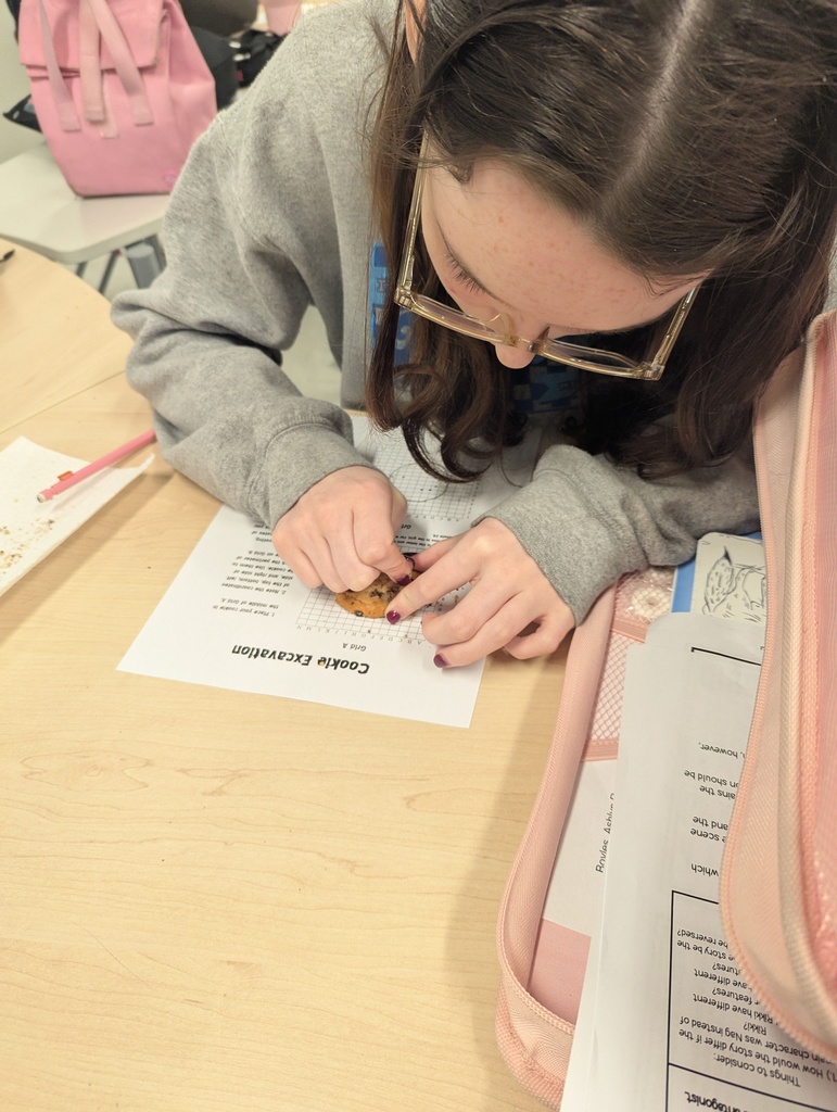 Cookie Excavation in Mrs. Young's 7th Grade History Class