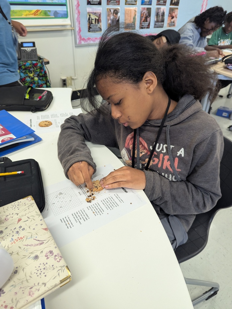 Cookie Excavation in Mrs. Young's 7th Grade History Class