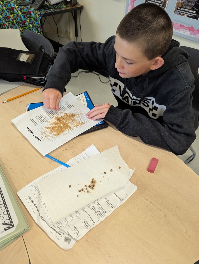 Cookie Excavation in Mrs. Young's 7th Grade History Class