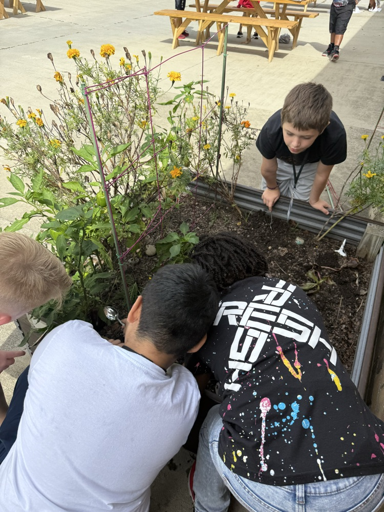 master gardener