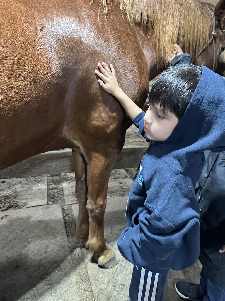 1st Grade Triple R Ranch Field Trip