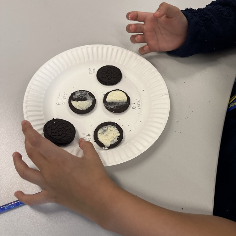 moon phases