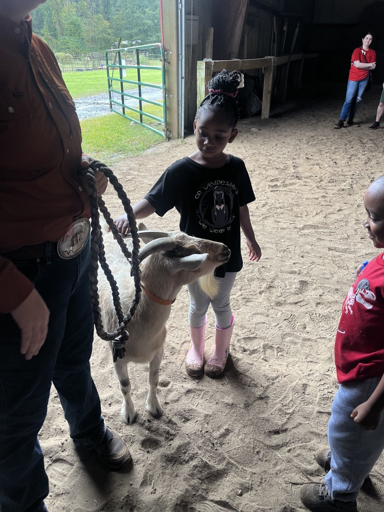 Students petting goat