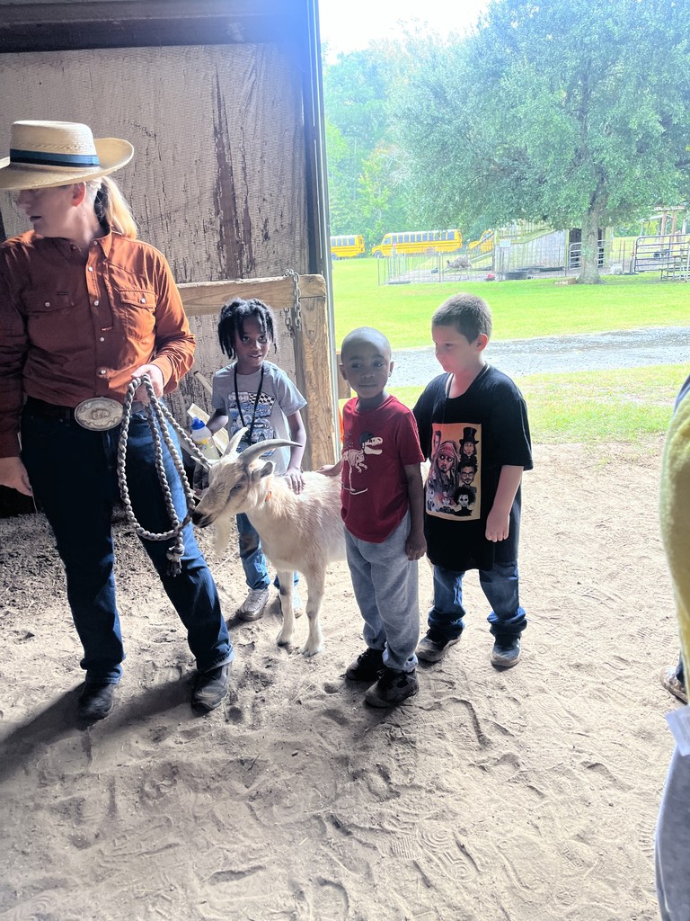 Students petting goat
