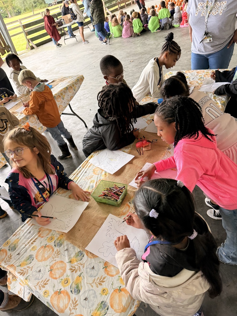 Students drawing and coloring